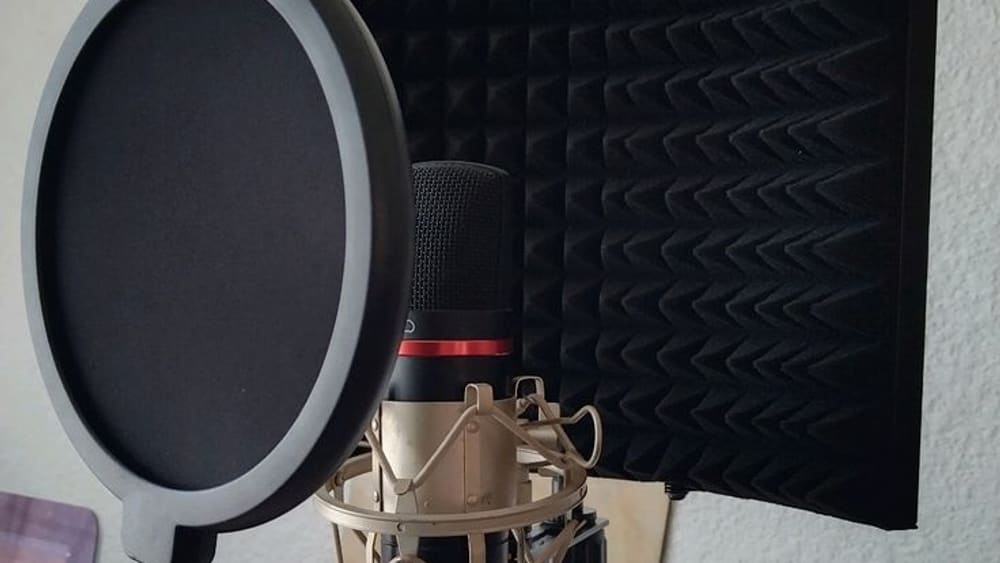 Wireless Microphones: What Actually Matters